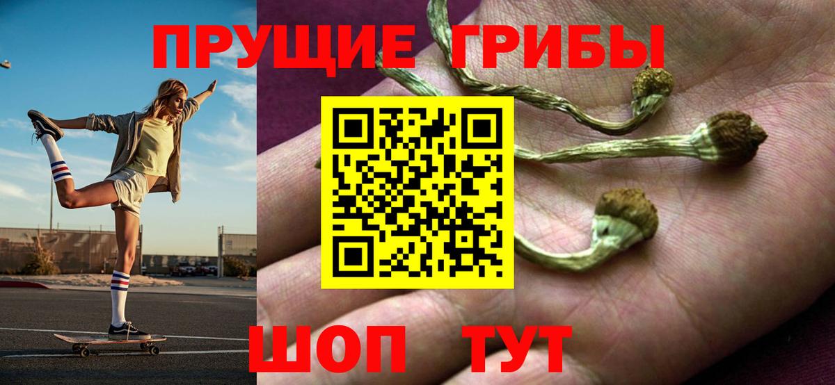 Саянск  Псилоцибиновые грибы MAGIC MUSHROOMS  Вход с VPN 